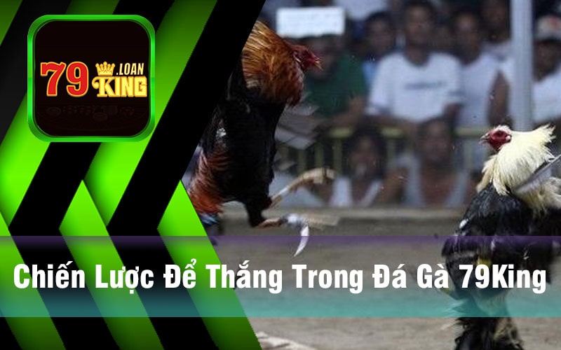 Chiến Lược Để Thắng Trong Đá Gà 79King