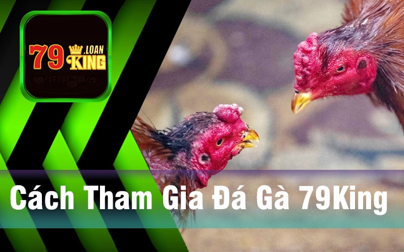 Cách Tham Gia Đá Gà 79King